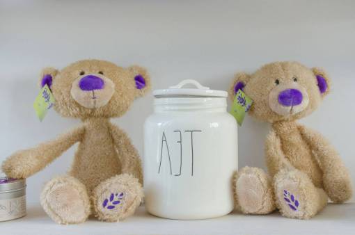 stuffed stuff  toy  display  interior  design  tea  container
