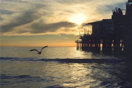 aves puesta de sol muelle muelle océano mar olas aves