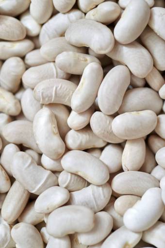 veganism white  beans  food  close up  ingredients  cooking  kitchen