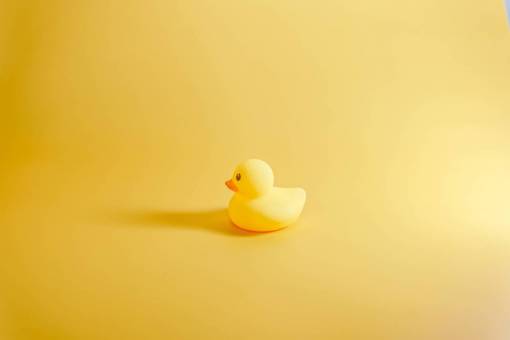 brillante Cerca de un pato de goma amarillo