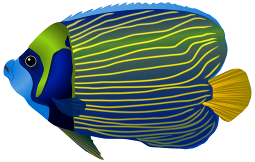  Coral Reef Fish