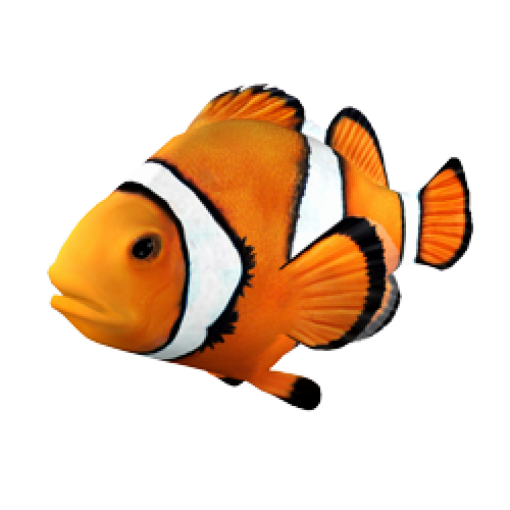  Coral Reef Fish