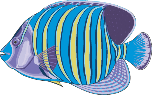 caribbean-city  Coral Reef Fish