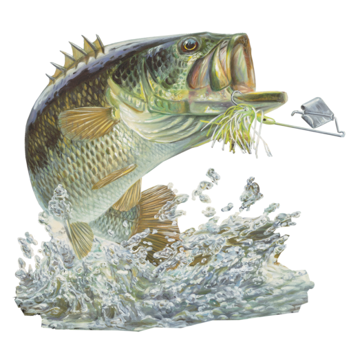 submarine  Coral Reef Fish
