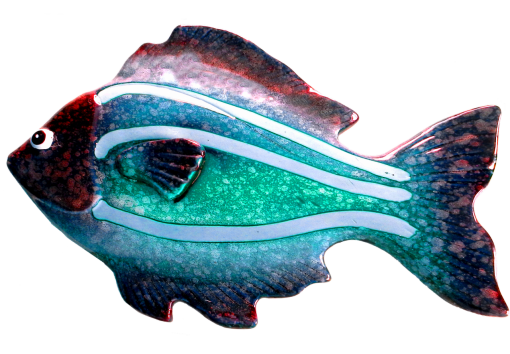 environment  Coral Reef Fish
