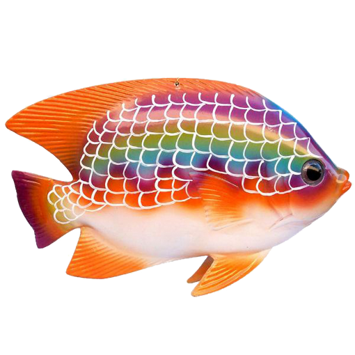 environment  Coral Reef Fish