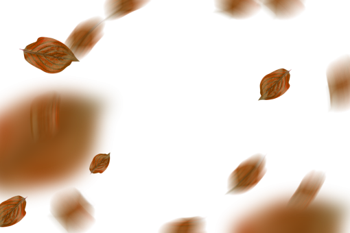  autumn leaves autumn yellow leaf overlay png nature