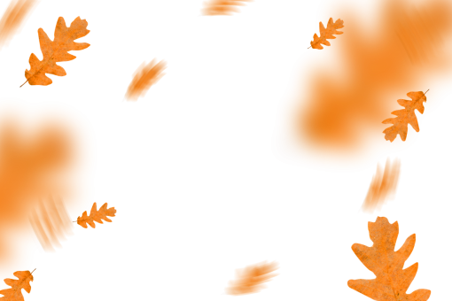  autumn leaves autumn yellow leaf overlay png nature
