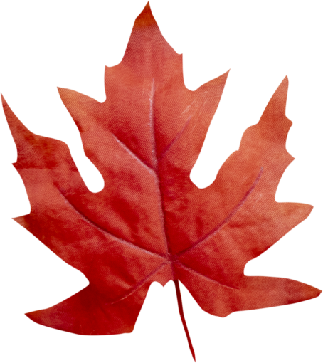  autumn leaves autumn yellow leaf overlay png nature