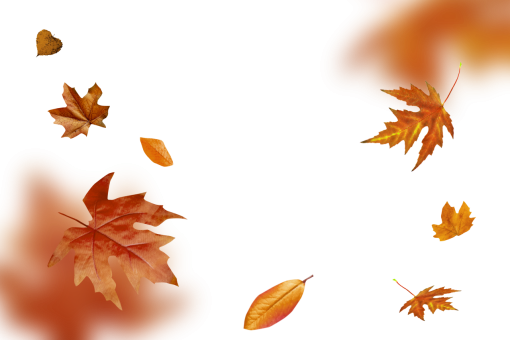 50s  autumn leaves autumn yellow leaf overlay png nature