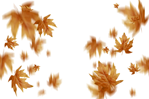 september  autumn leaves autumn yellow leaf overlay png nature