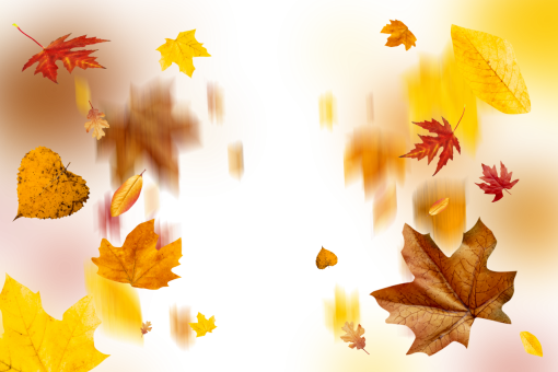 september  autumn leaves autumn yellow leaf overlay png nature