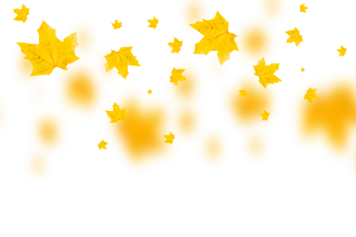 september  autumn leaves autumn yellow leaf overlay png nature