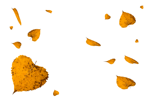 september  autumn leaves autumn yellow leaf overlay png nature