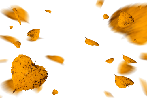 september  autumn leaves autumn yellow leaf overlay png nature