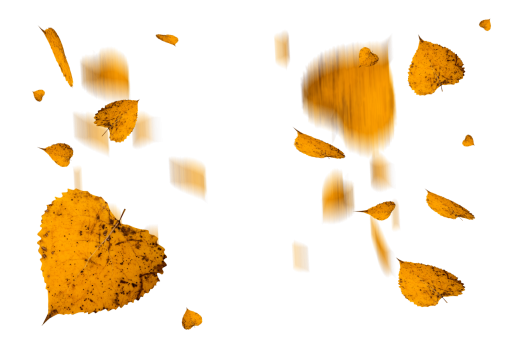 september  autumn leaves autumn yellow leaf overlay png nature