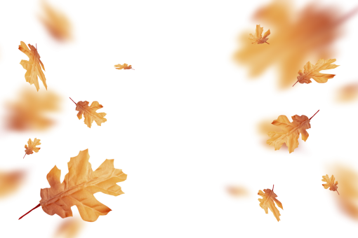 october  autumn leaves autumn yellow leaf overlay png nature