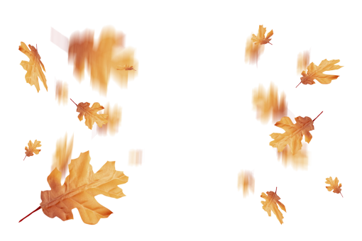 october  autumn leaves autumn yellow leaf overlay png nature