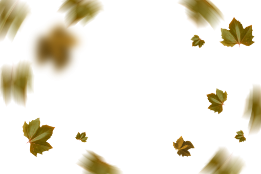  autumn png autumn leaves backgrounds nature overlay leaf