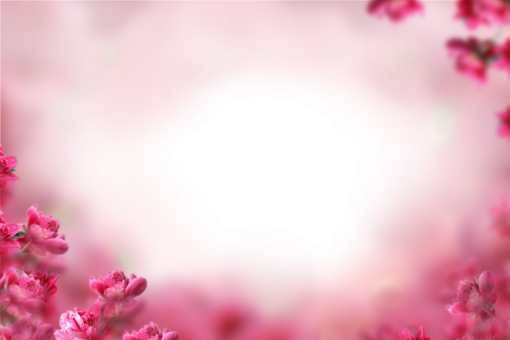  background abstract png backgrounds overlay painted flowers blur
