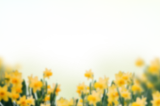  background painted flowers grass png overlay nature blur