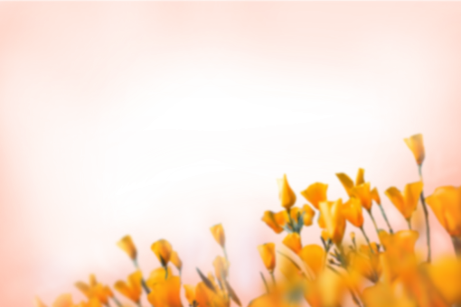  background png backgrounds painted flowers nature overlay blur