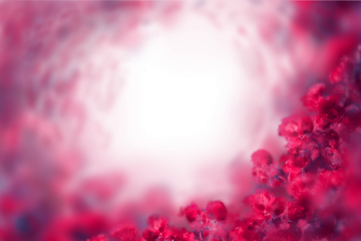  backgrounds blur abstract overlay background png painted flowers