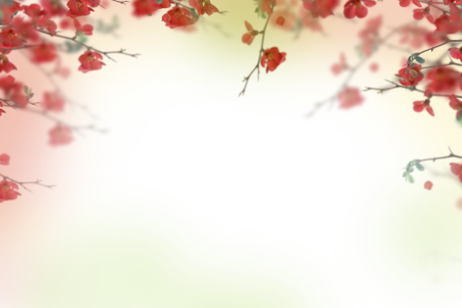  backgrounds overlay nature background painted flowers png blur