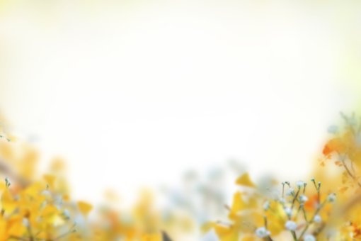  backgrounds overlay painted flowers nature background png blur