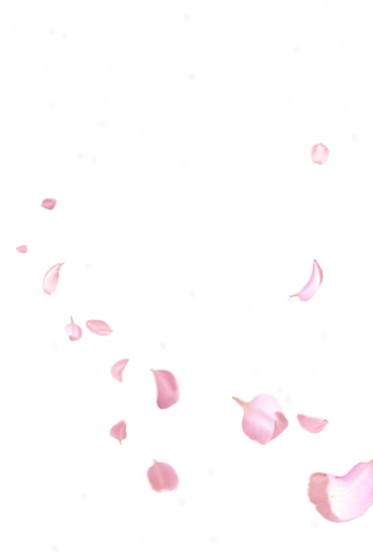 vetorial ilustração vetorial de sobreposição de fundos png pétalas de rosa