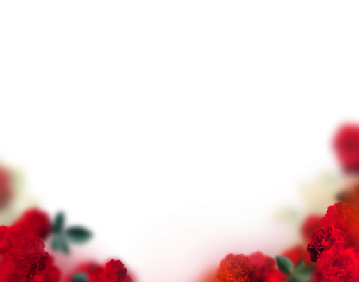  blur painted flowers backgrounds abstract overlay png background