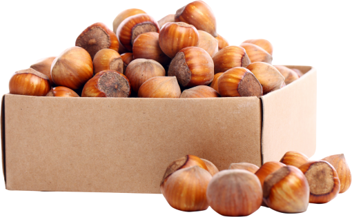 haze  food overlay fruit png hazelnut close-up christmas