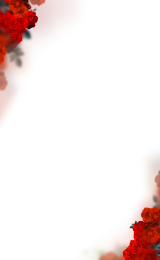  illustration blur background backgrounds png painted flowers overlay