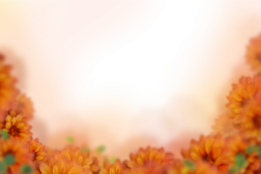  nature background png backgrounds blur overlay painted flowers