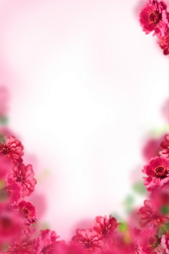  nature overlay png painted flowers background flower blur