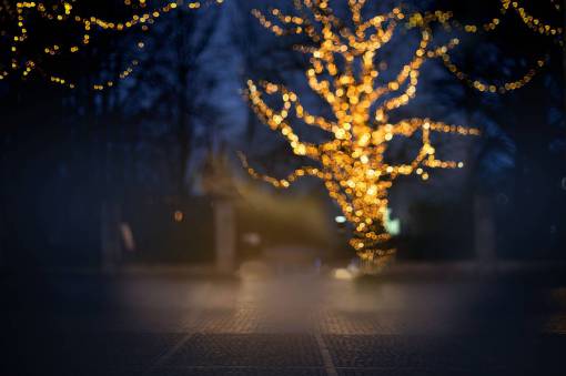 árbol de la noche al aire libre fondos desenfocado iluminado chrismas;fondo
