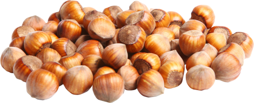  overlay freshness food close-up christmas png nature
