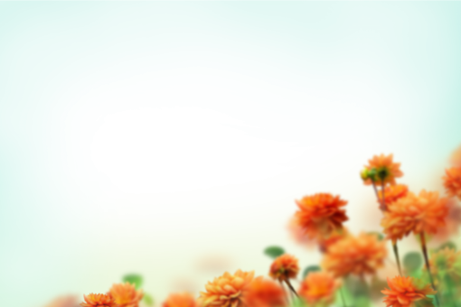  overlay summer blur png background nature painted flowers