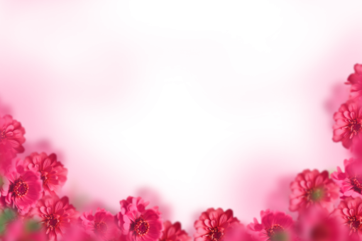  painted flowers nature overlay blur png plant background