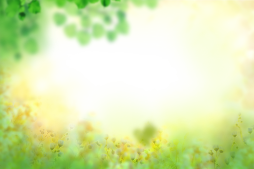  png background blur summer painted flowers overlay nature