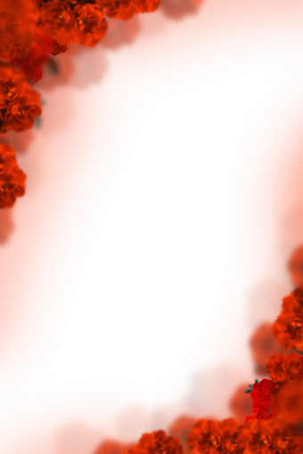 blur png sobreposição de flores pintadas fundos ilustração de fundo desfoque