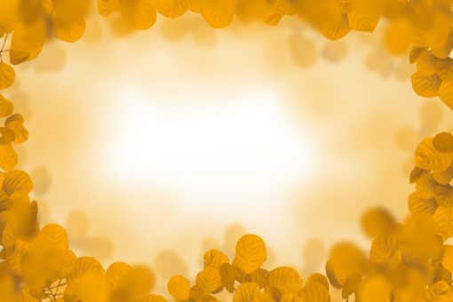  png painted flowers nature blur background backgrounds overlay