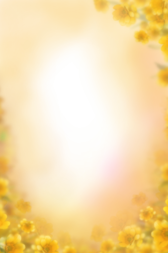 8  png yellow background overlay blur backgrounds painted flowers