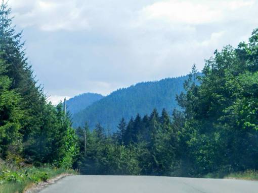 montanas bosque washington;carretera;pino;bosque al aire libre montaña árbol naturaleza paisaje