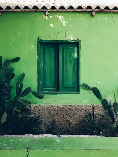 winding nature architecture green color outdoors old house;windows;green;caribbean window