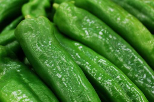 healthy-lifestyle nature green peppers green color close-up food vegetable freshness