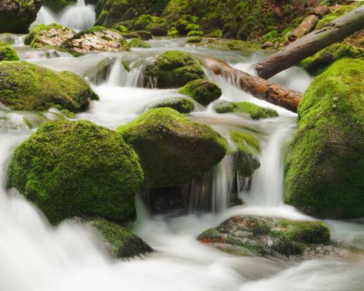 bosques aire libre que fluye naturaleza cascada verde color bosque agua