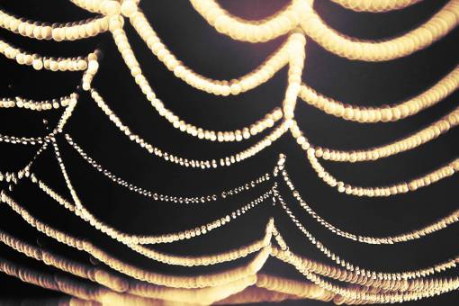 elysees background;lights shiny decoration pattern backgrounds abstract night