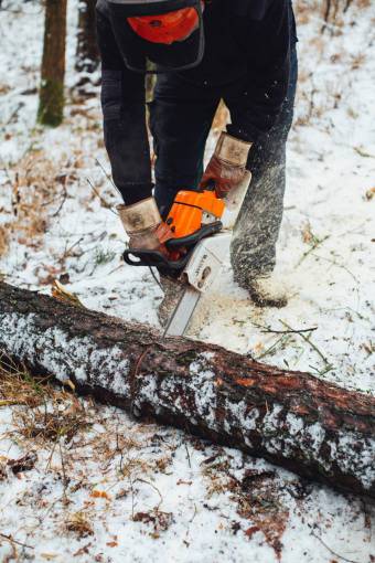 invierno leñador del bosque; nieve al aire libre trabajando árbol hombres naturaleza