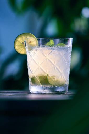 alcohol-drink Gin tonic Cocktail
